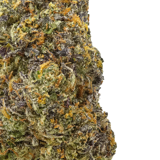 Close-up of Bleu Nerdz cannabis bud showing trichomes, orange hairs, and purple hues