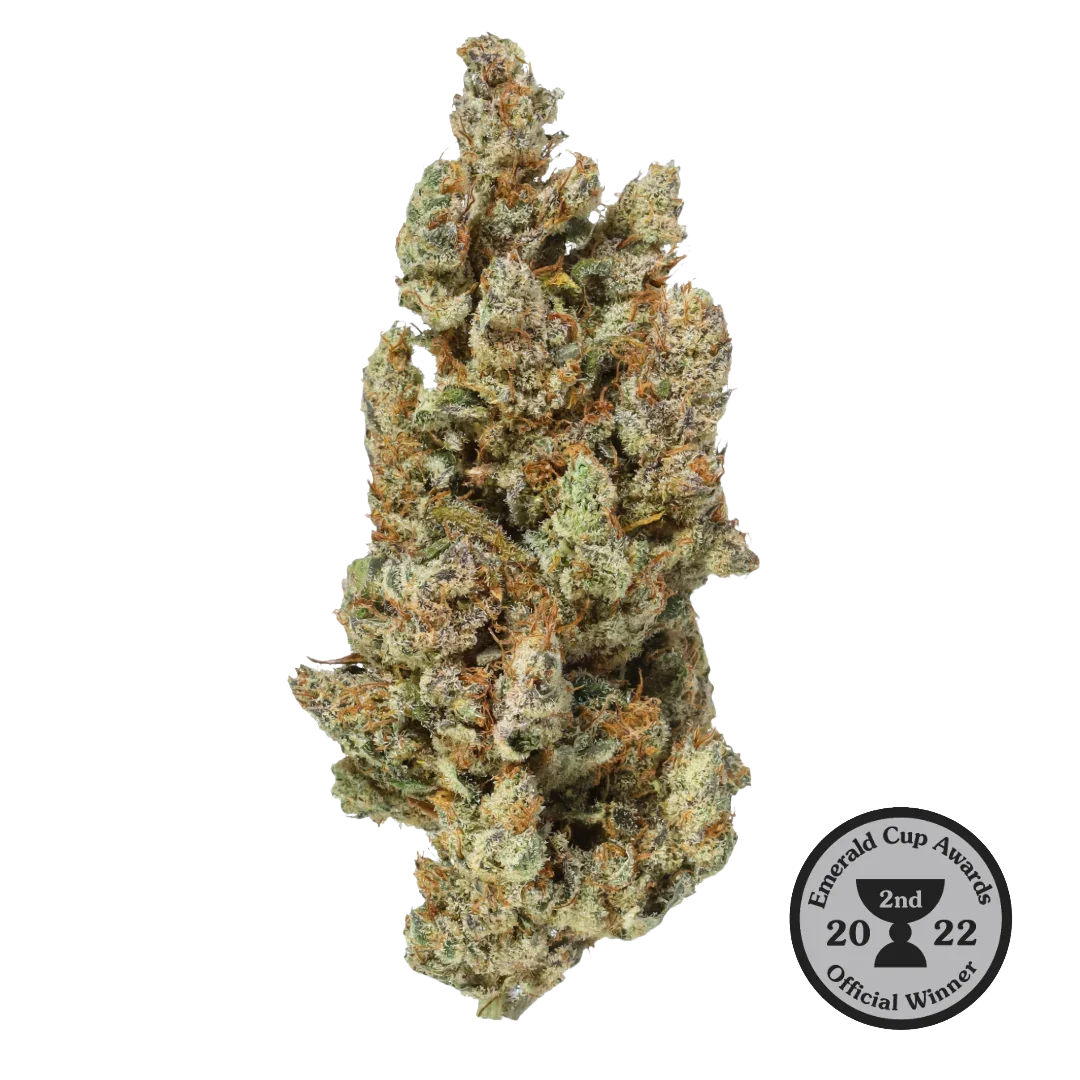 Frosty cannabis bud with orange hairs, Emerald Cup Awards 2022 2nd place winner badge