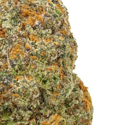Close-up of frosty cannabis bud with green, orange, and purple trichomes on black background