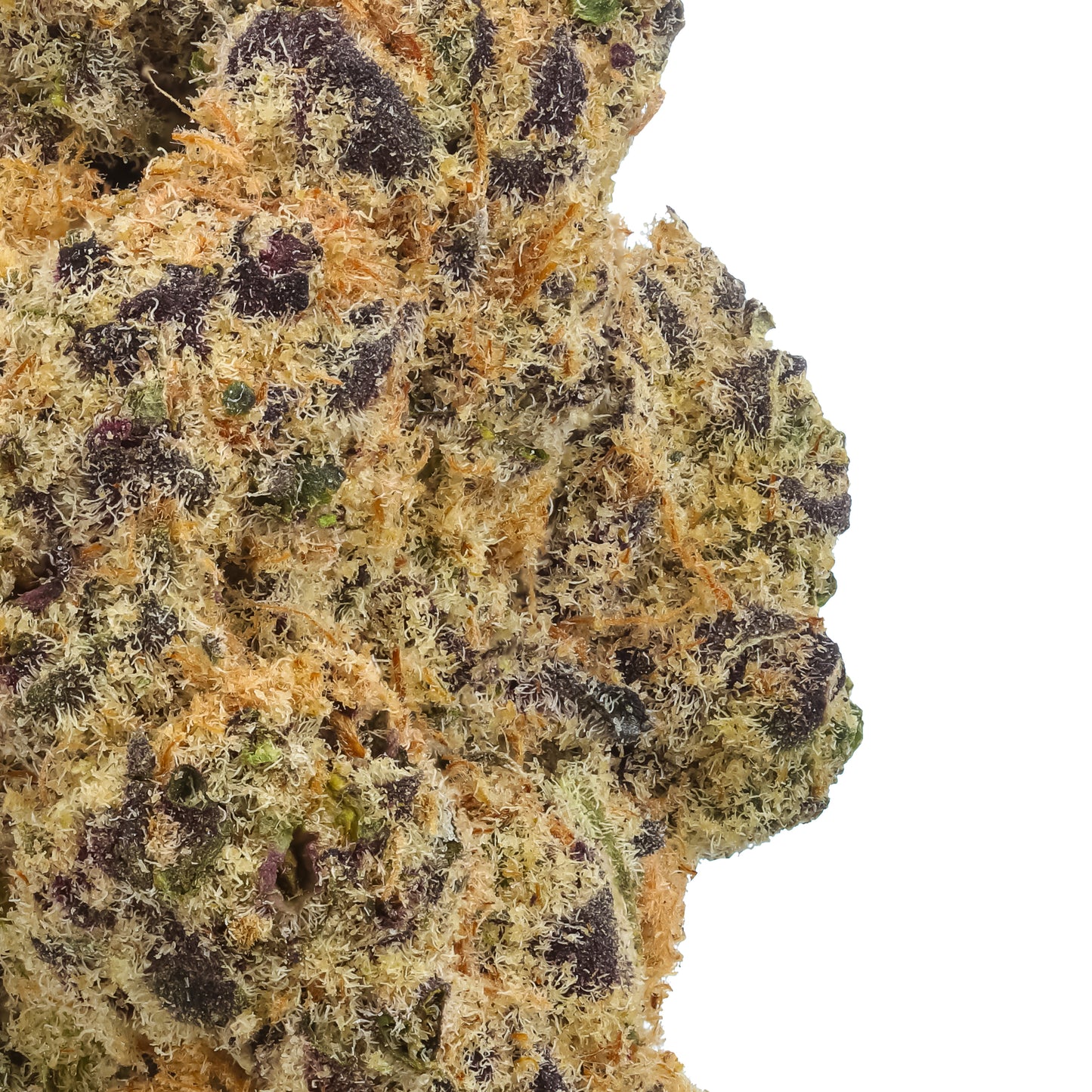 Super Lemon MAC