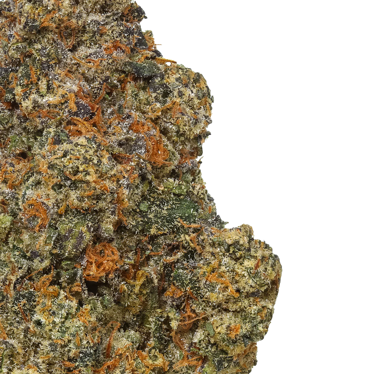 Black Cherry Gelato