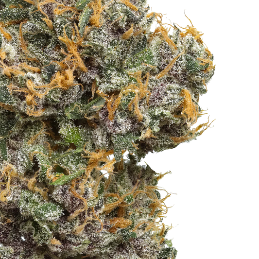 Close-up of frosty Mystic Mountain Blueberry cannabis bud with orange hairs on white background
