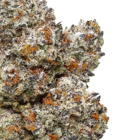 Close-up of frosty Octane Mintz cannabis bud with orange hairs and purple accents
