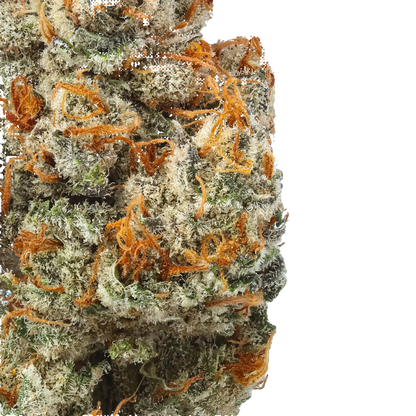 Banner Kush