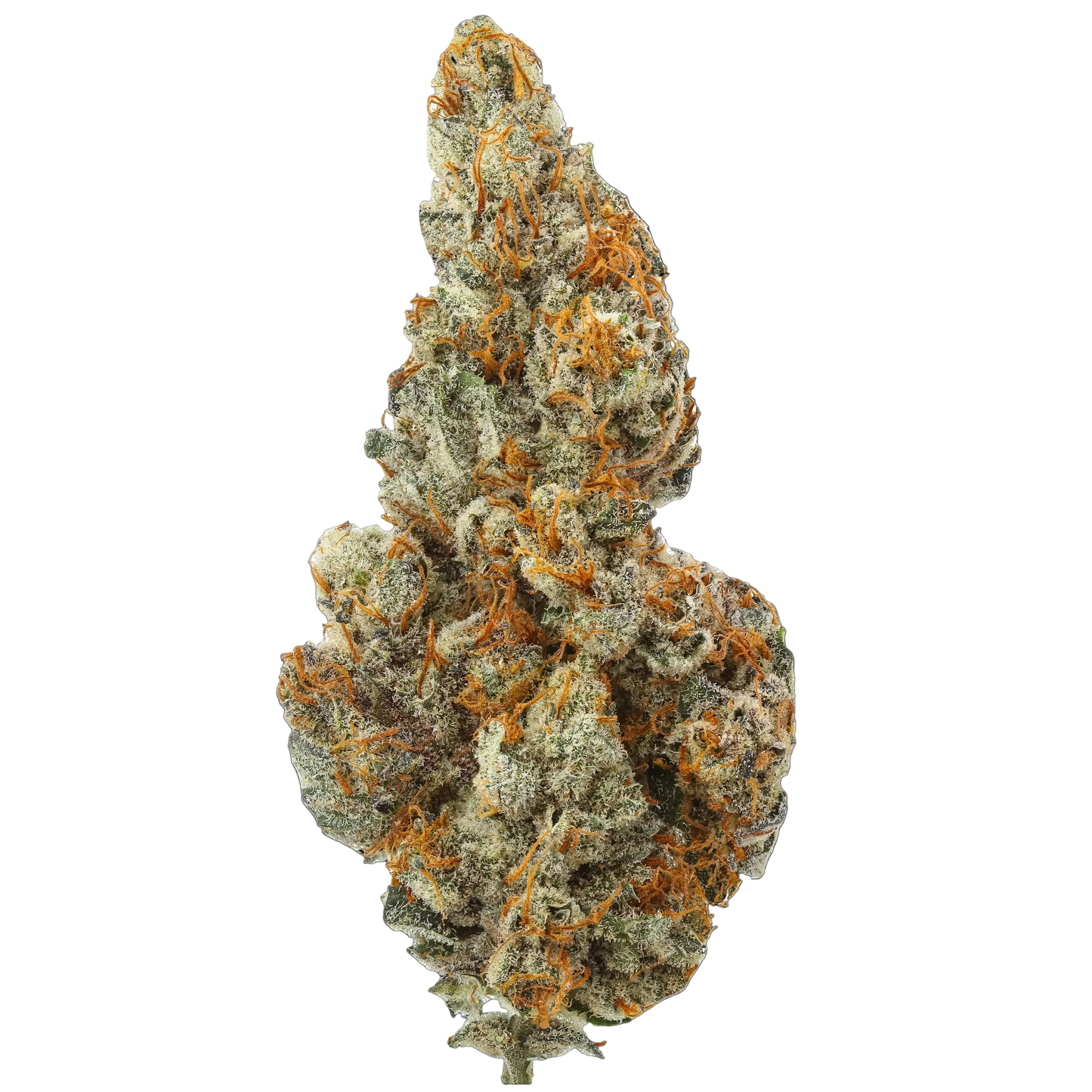 Banner Kush