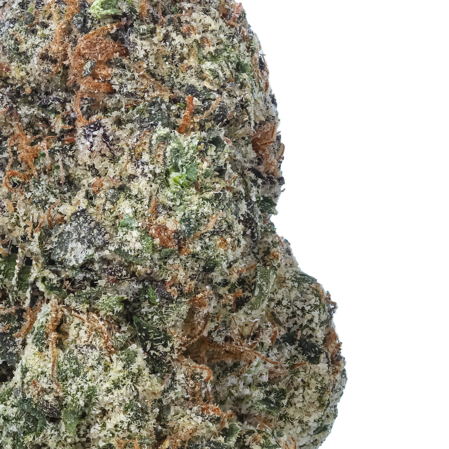 Candy Jack
