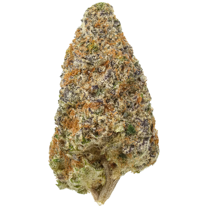 Cement Shoes cannabis bud close-up with frosty trichomes, orange hairs, and purple hues