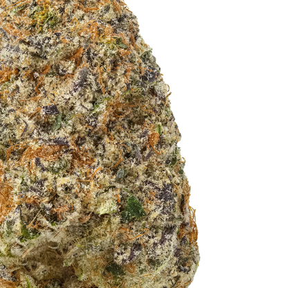 Close-up of frosty Cement Shoes cannabis bud with orange hairs and purple hues on black background