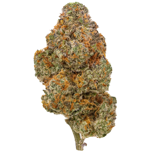 Close-up of Dulce Fresca cannabis bud with orange hairs and frosty trichomes on black background