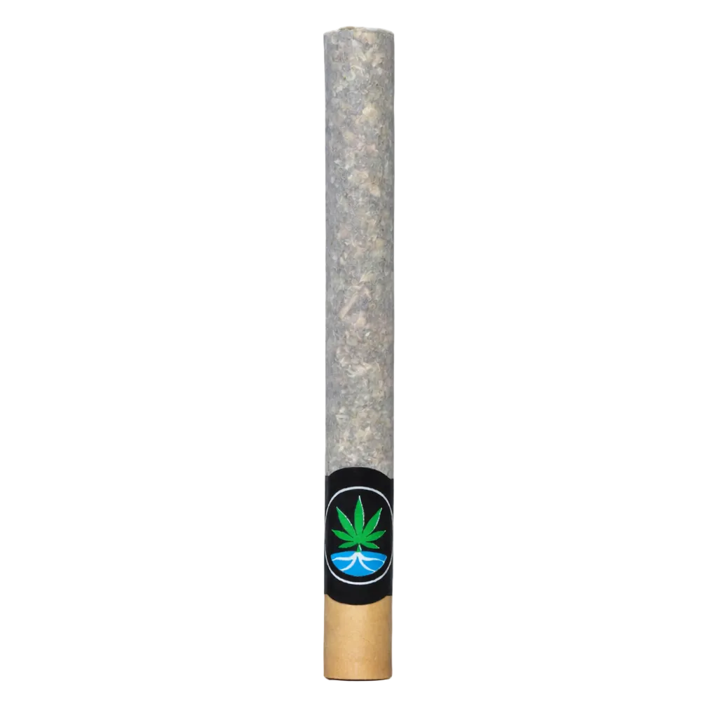 2g Rolled Giant Joint