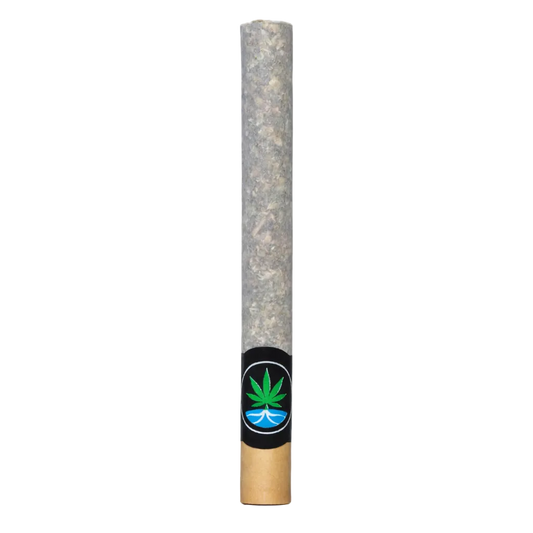 2g Rolled Giant Joint