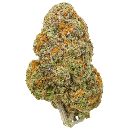 Close-up of a frosty cannabis bud with orange hairs and green, purple hues on white background.