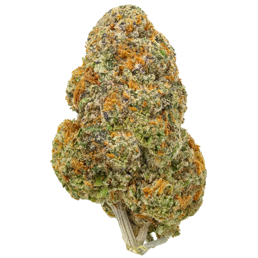 Close-up of a frosty cannabis bud with orange hairs and green, purple hues on white background.