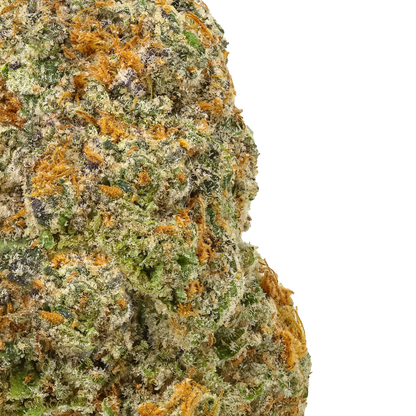 Close-up of frosty cannabis bud with green, orange, and purple trichomes on black background