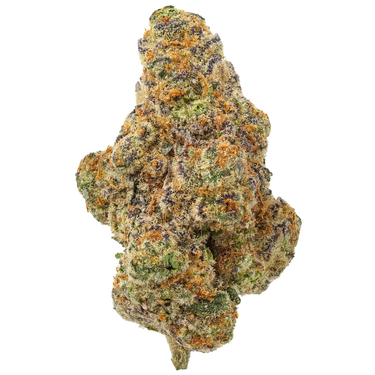 Glitter Bomb