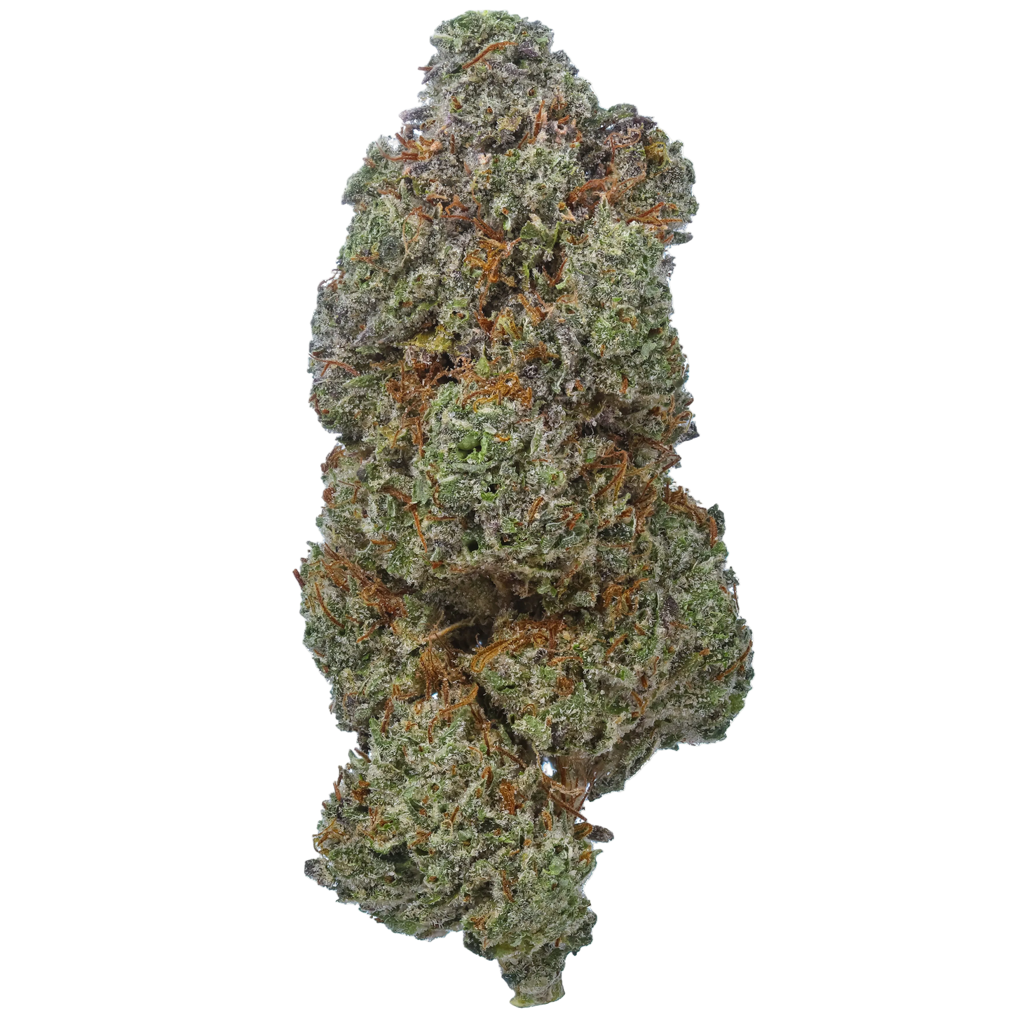 Grease Monkey