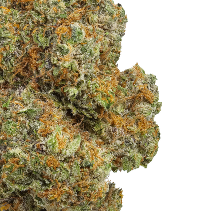 Close-up of Lemon Cherry Gelato cannabis bud with frosty trichomes and orange hairs