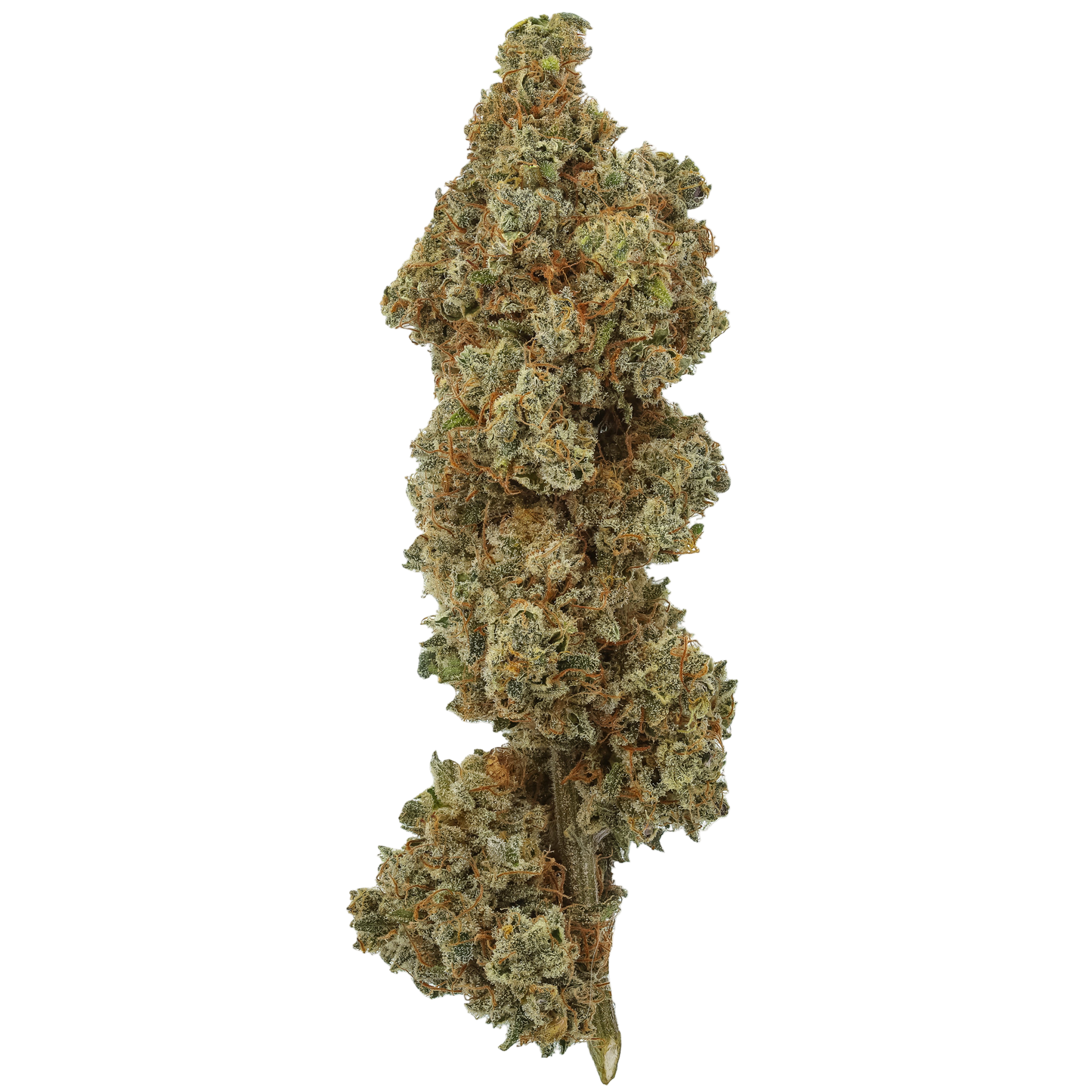 Miracle Lemon Cookies