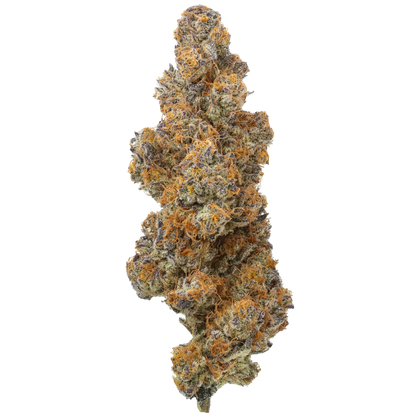 Close-up of Peyton's Strawberries cannabis bud with orange hairs and purple hues