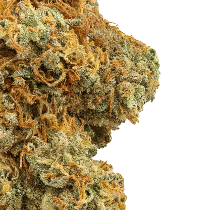 Close-up of Raspberry Lemonade cannabis bud with orange hairs and frosty trichomes on green background