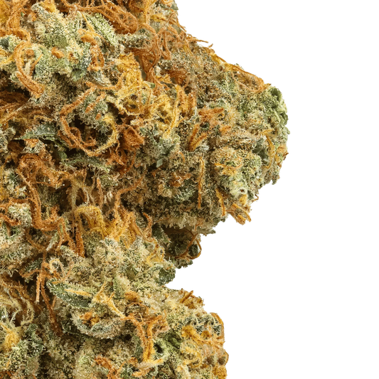 Close-up of Raspberry Lemonade cannabis bud with orange hairs and frosty trichomes on green background