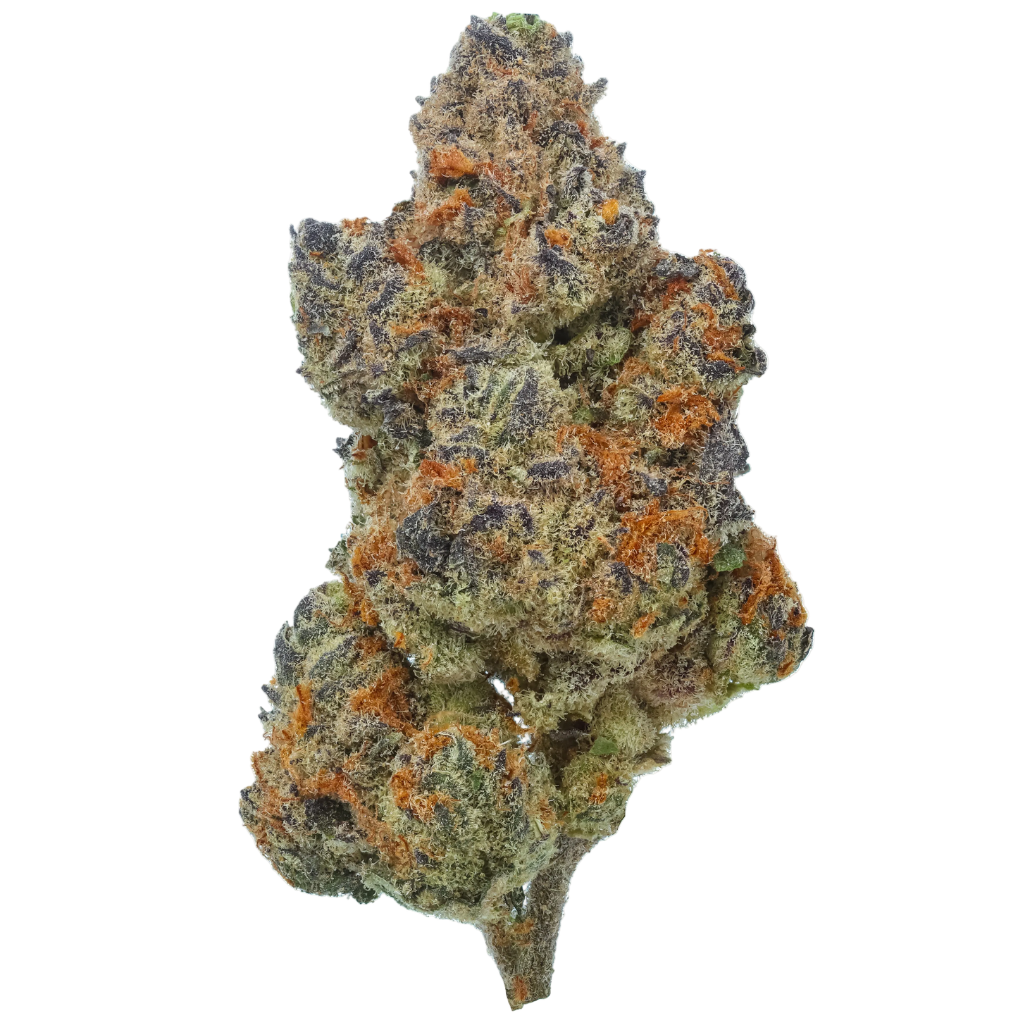 Sunset Spice