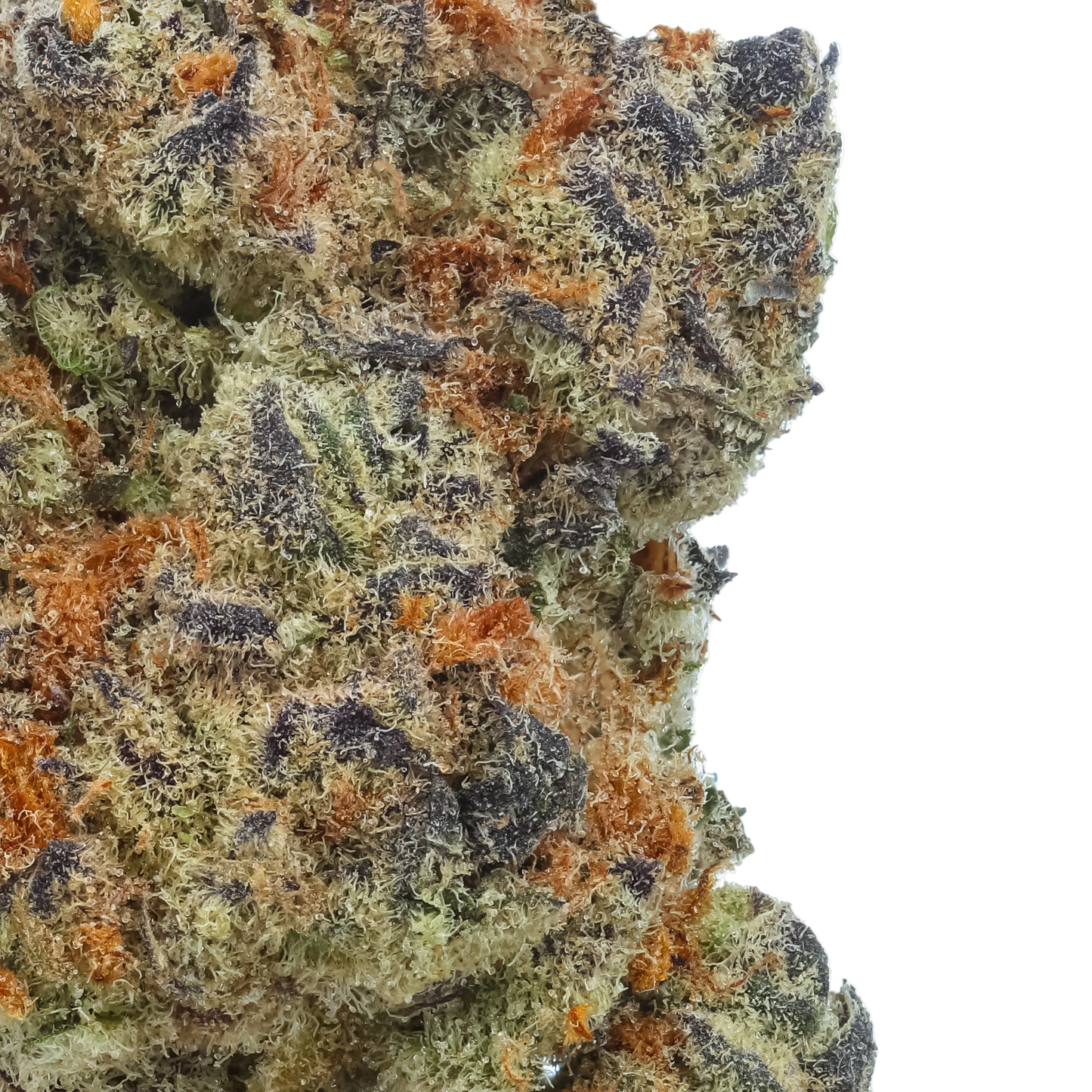 Sunset Spice