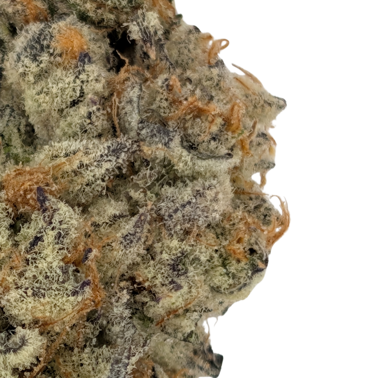 Tropic Thunder Funk