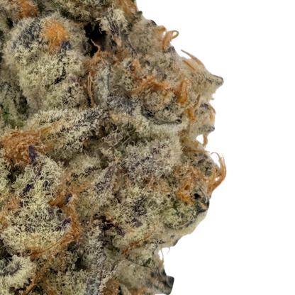Tropic Thunder Funk