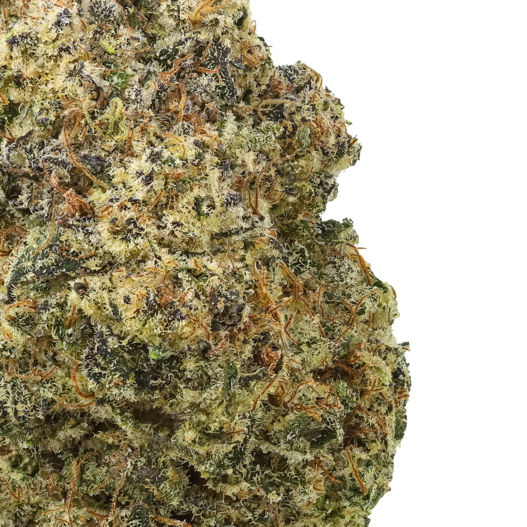 Valencia Kush