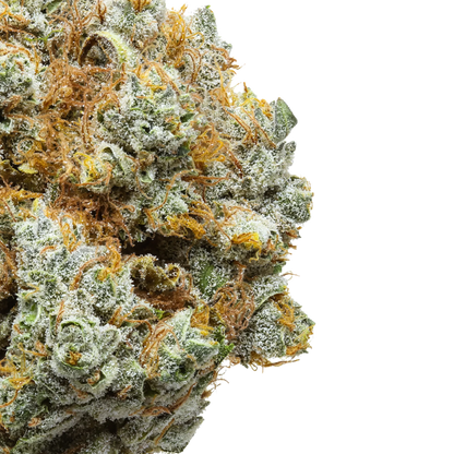 Close-up of frosty cannabis bud with orange hairs and crystals on a black background