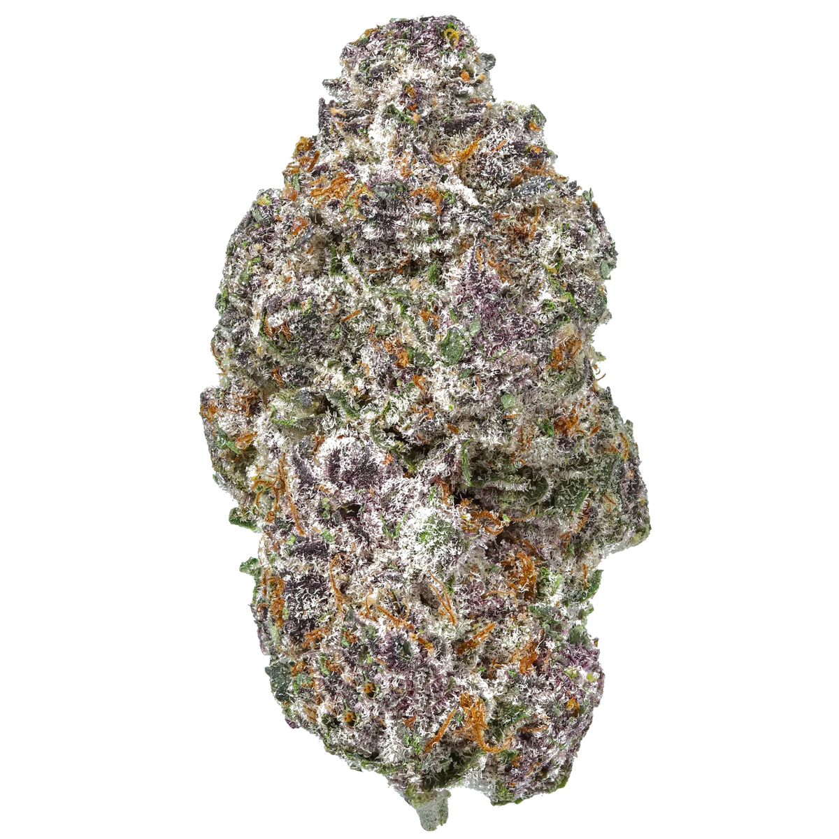 Galactic Grape Alien Grapevine – Flow Gardens Wholesale