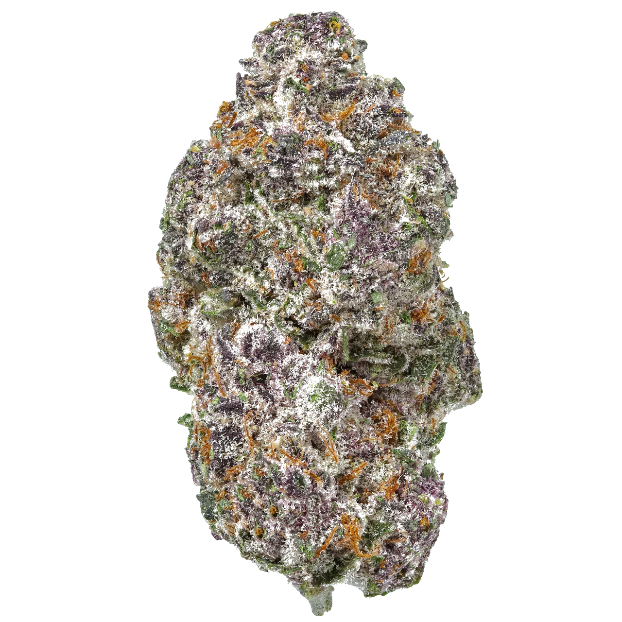 Alien Grape Vine cannabis bud close-up with purple, green, and orange hues