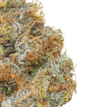 Close-up of frosty cannabis bud with orange hairs and green crystals on white background
