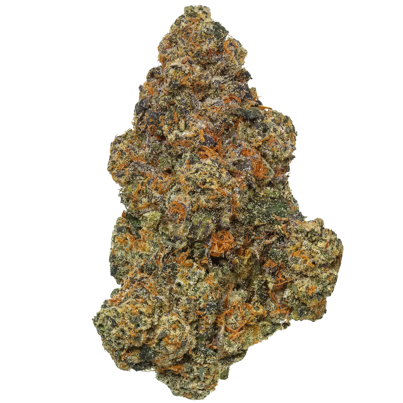 Black Cherry Gelato