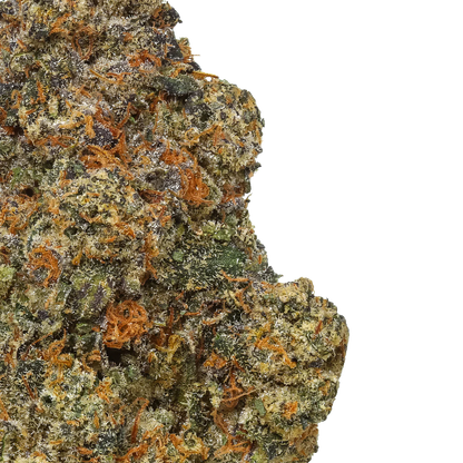 Black Cherry Gelato