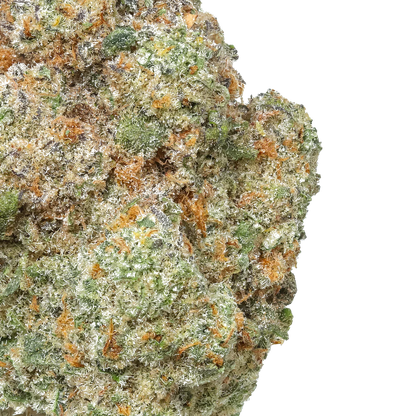 Close-up of frosty cannabis bud with green and orange hairs on white background