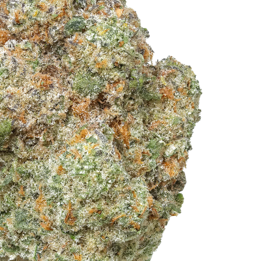 Close-up of frosty cannabis bud with green and orange hairs on white background