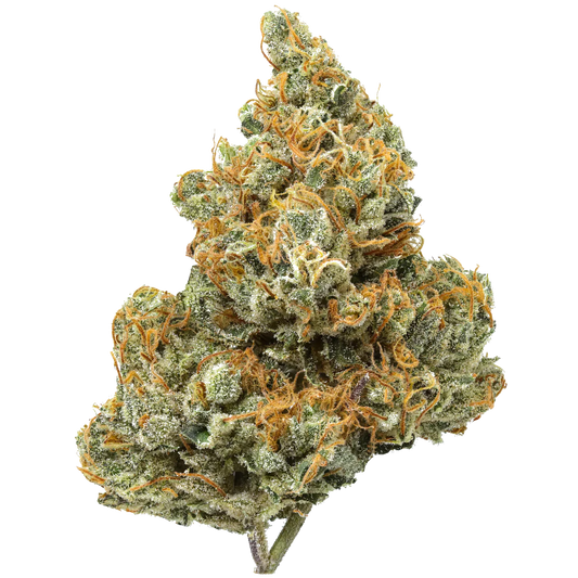 Close-up of Chemtrails cannabis bud with green, orange hairs and trichomes on white background.