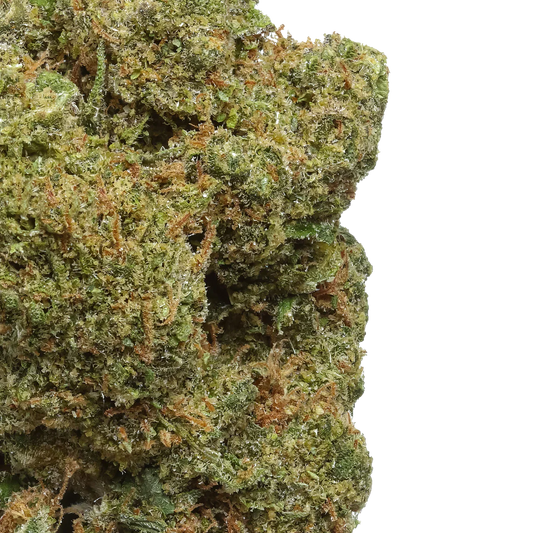 Close-up of Durban Poison cannabis bud with dense green and orange trichomes
