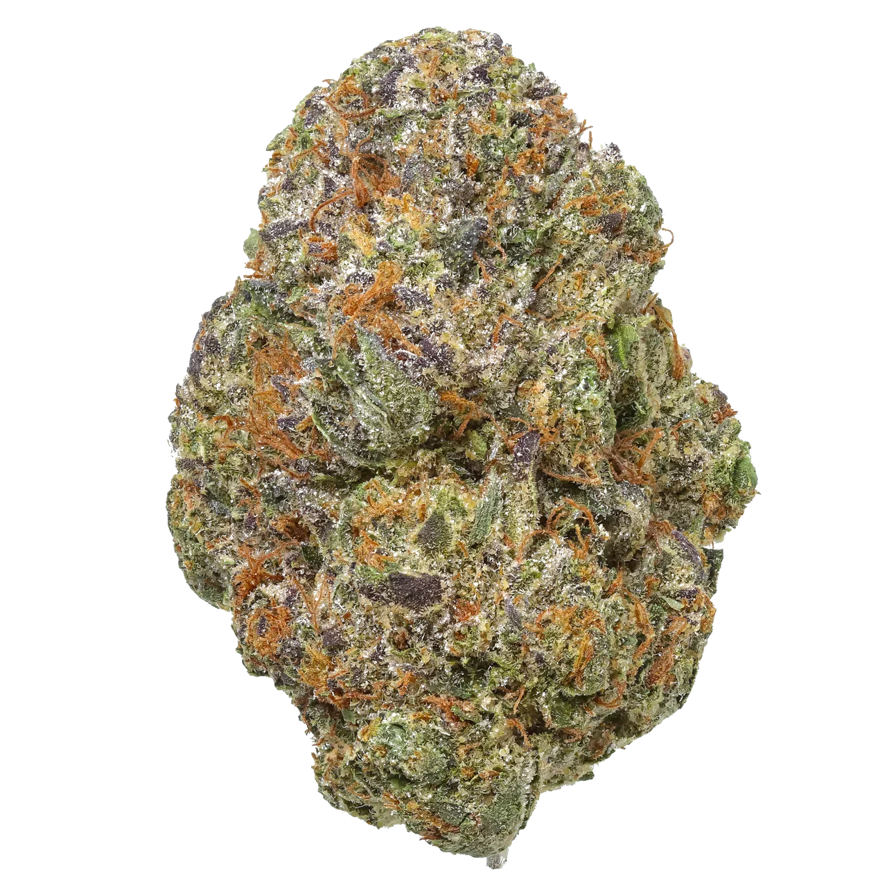 Gelato Cake cannabis bud close-up with frosty trichomes and orange hairs on white background