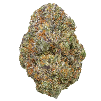 Gelato Cake cannabis bud close-up with frosty trichomes and orange hairs on white background