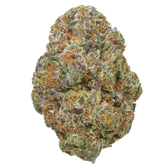 Gelato Cake cannabis bud close-up with frosty trichomes and orange hairs on white background