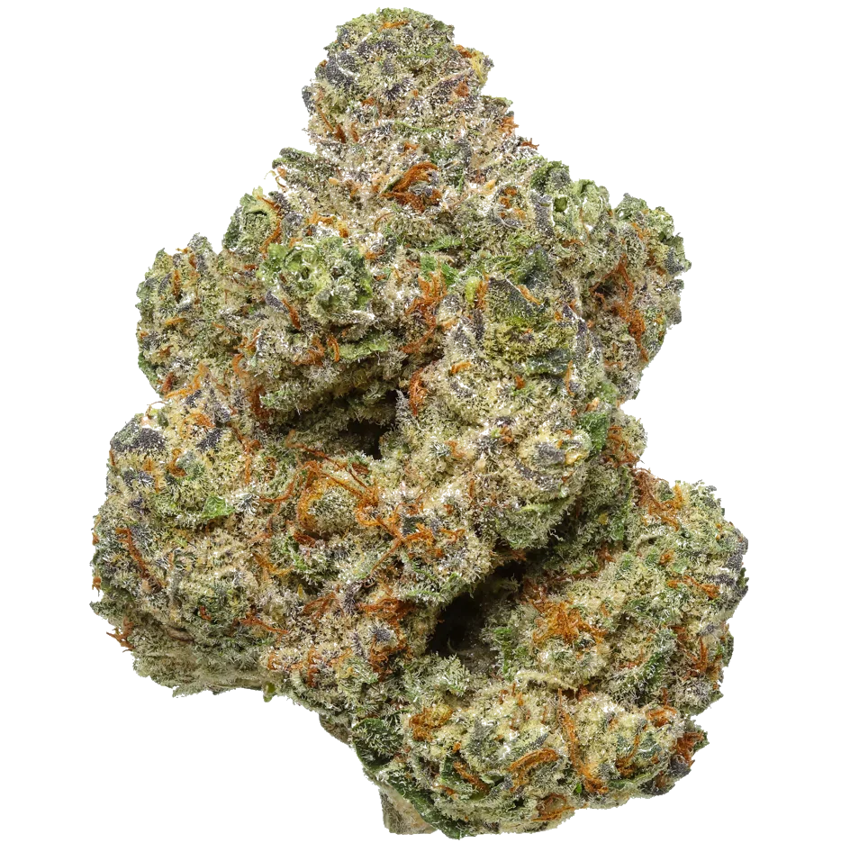 Ghost OG
