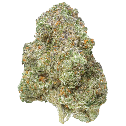 Close-up of a Green Crack cannabis bud with orange hairs and frosty trichomes on white background.