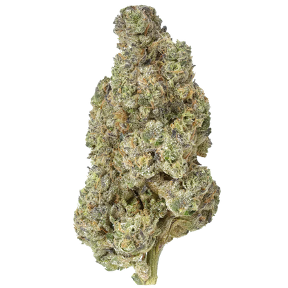 Gush Mintz cannabis bud, dense and frosty, with green, purple, and orange hairs