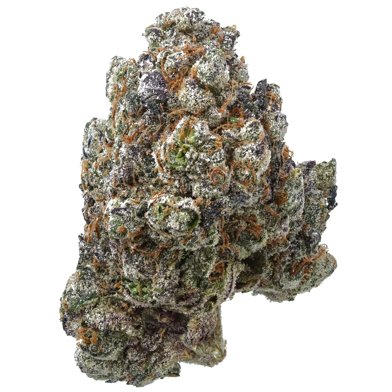 Frosty cannabis bud with purple hues and orange hairs on white background