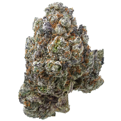 Frosty cannabis bud with purple hues and orange hairs on white background