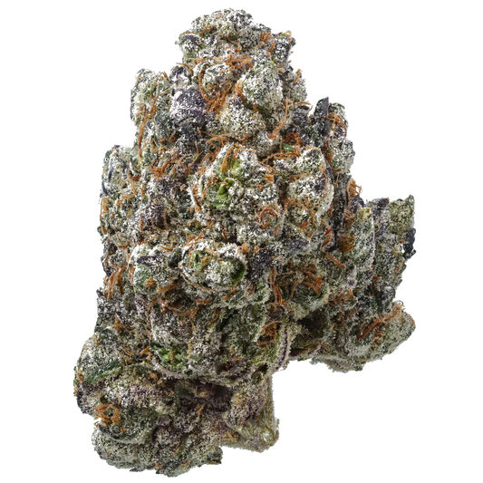 Frosty cannabis bud with purple hues and orange hairs on white background