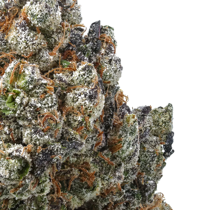Close-up of frosty cannabis bud with purple, green, and orange pistils